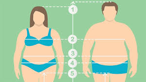 Insulin Resistance and Obesity