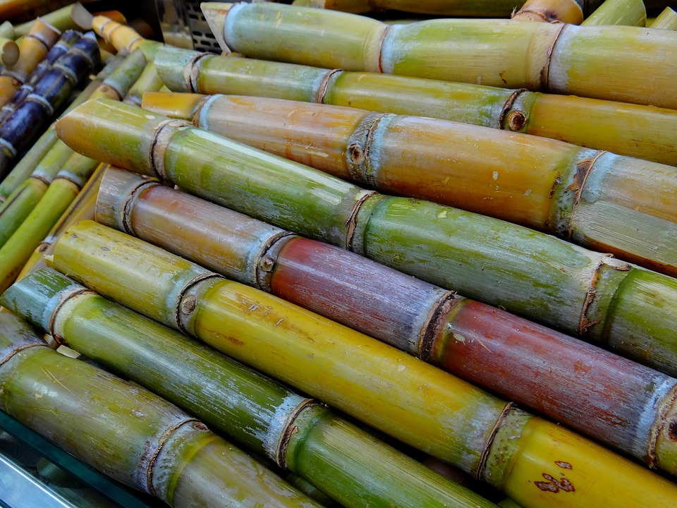 SUGARCANE JUICE ON DIABETICS